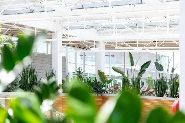 How to Have an Even Better Garden This Winter